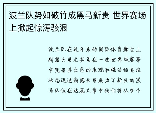 波兰队势如破竹成黑马新贵 世界赛场上掀起惊涛骇浪
