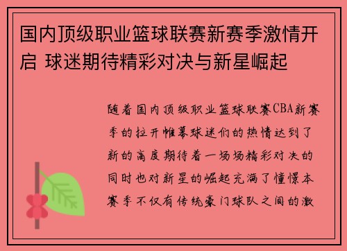 国内顶级职业篮球联赛新赛季激情开启 球迷期待精彩对决与新星崛起