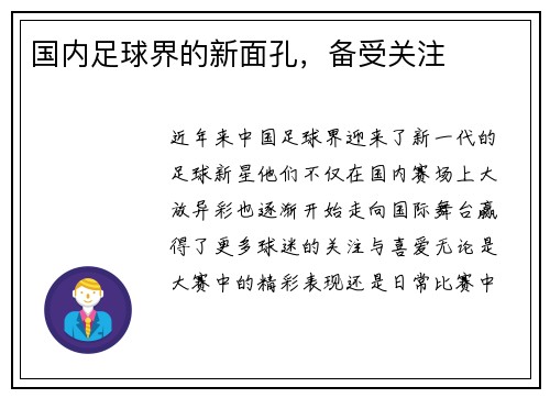 国内足球界的新面孔，备受关注