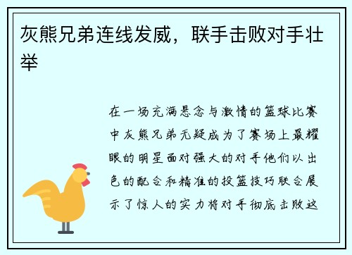 灰熊兄弟连线发威，联手击败对手壮举