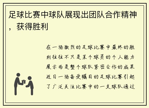 足球比赛中球队展现出团队合作精神，获得胜利