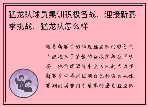 猛龙队球员集训积极备战，迎接新赛季挑战，猛龙队怎么样
