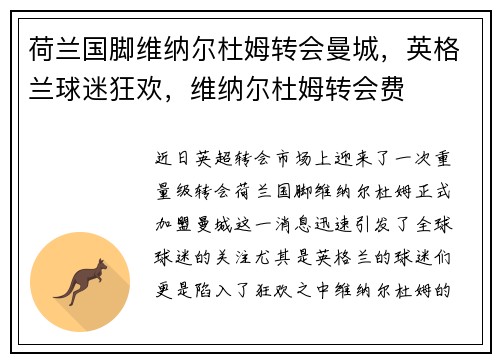 荷兰国脚维纳尔杜姆转会曼城，英格兰球迷狂欢，维纳尔杜姆转会费